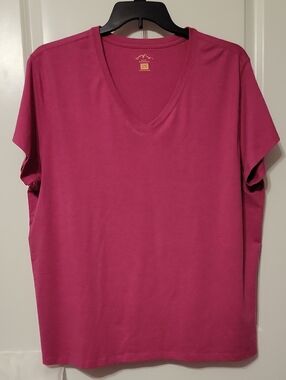 Blue Mountain Women's V-neck, Pink, 2X, Shirt. Like New.